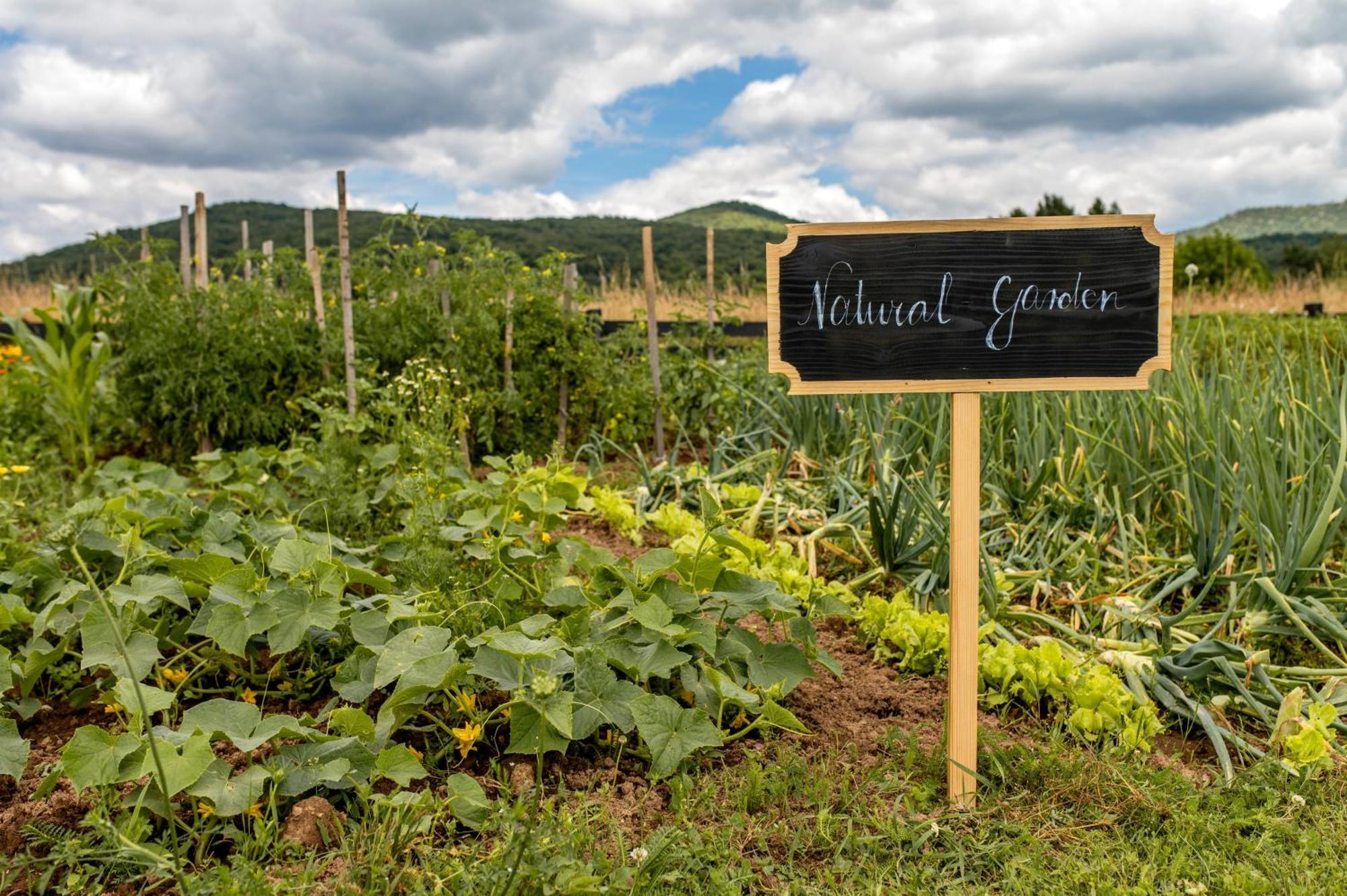 Chalet Velebitska Kuca Velika Plana Buitenkant foto