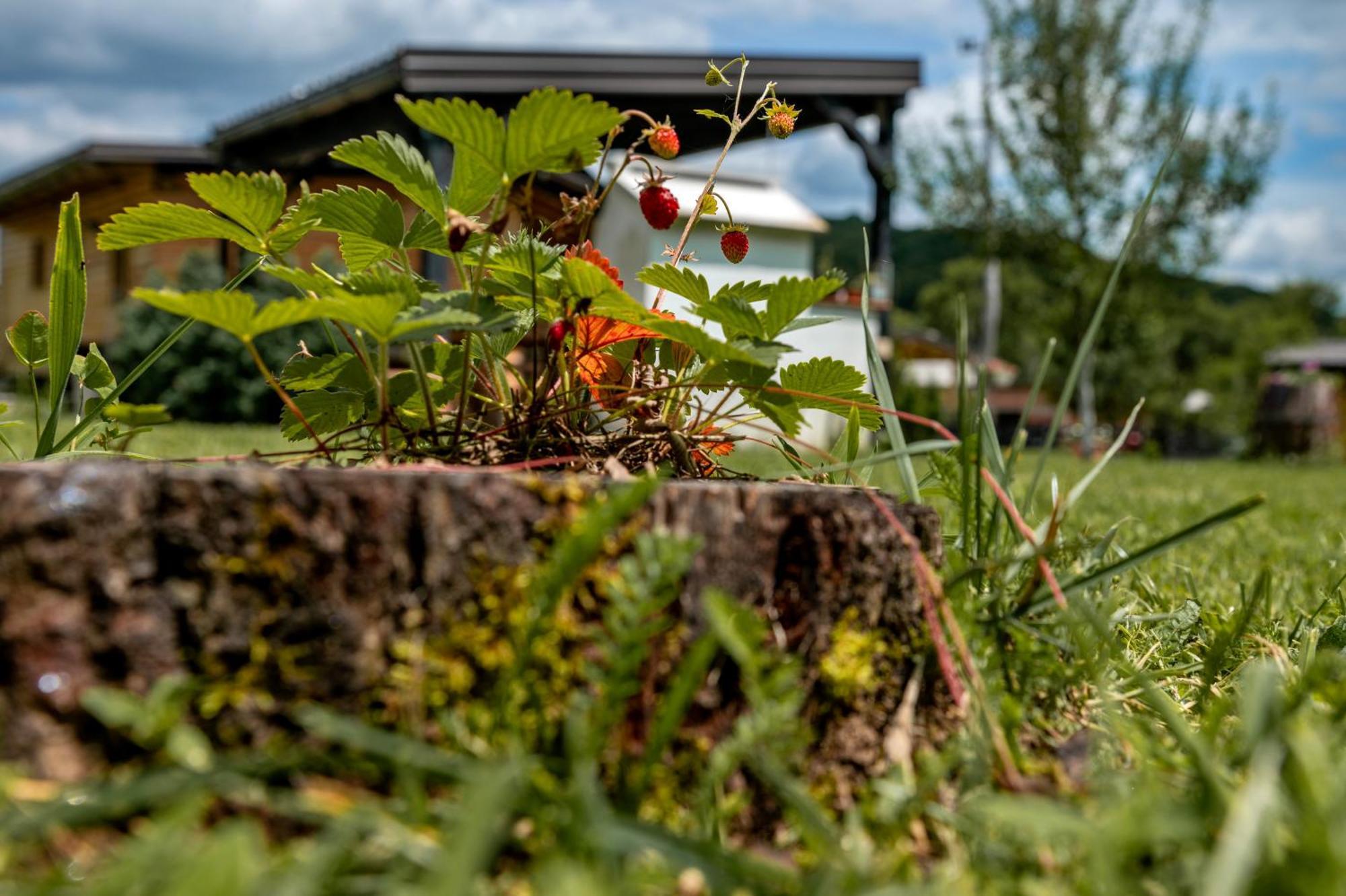 Chalet Velebitska Kuca Velika Plana Buitenkant foto